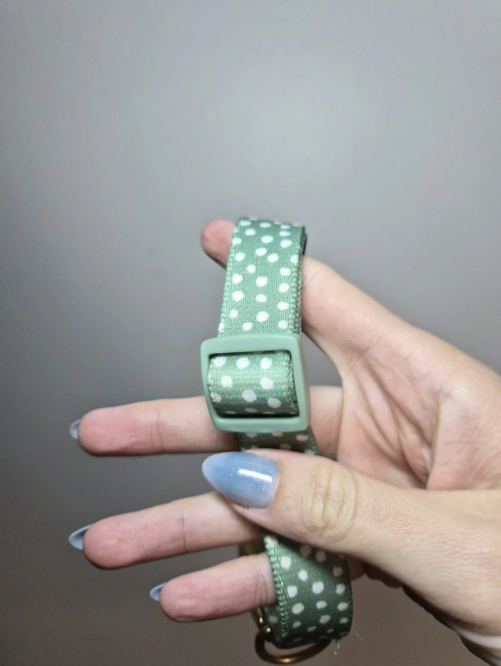 Adjustable Mint Green Polka Dot Dog Collar with Gold Hardware